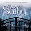 The_crazy_school