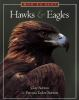How_to_spot_hawks___eagles