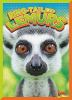 Ring-tailed_lemurs
