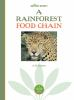 A_rain_forest_food_chain
