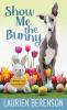 Show_me_the_bunny