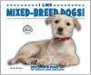 I_like_mixed-breed_dogs_