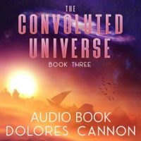 The_convoluted_universe