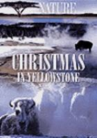 Christmas_in_Yellowstone