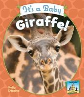 It_s_a_baby_giraffe_