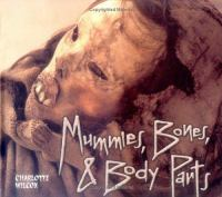 Mummies__bones___body_parts