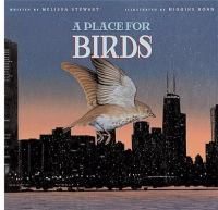A_place_for_birds