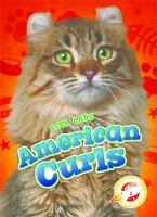 American_curls