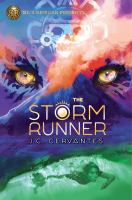 The_storm_runner