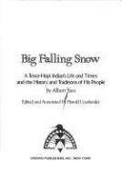 Big_Falling_Snow