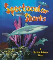 Spectacular_sharks