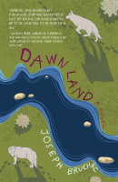 Dawn_land