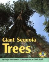 Giant_sequoia_trees
