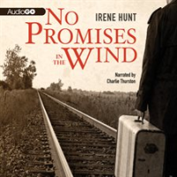 No_promises_in_the_wind