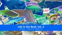 Life_in_the_reef