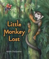 Little_Monkey_lost