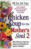 Chicken_soup_for_the_mother_s_soul_2