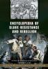Encyclopedia_of_slave_resistance_and_rebellion