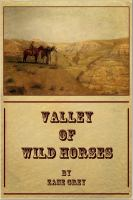 Valley_of_wild_horses