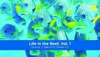 Life_in_the_reef