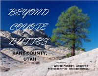 Beyond_Coyote_Buttes