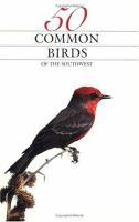 50_common_birds_of_the_southwest
