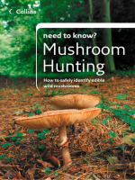 Mushroom_Hunting